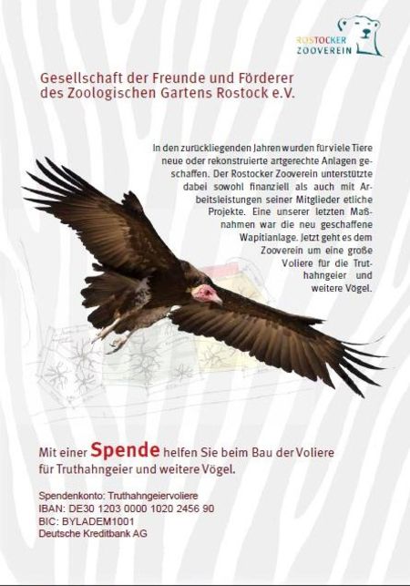 Projekt Truthahngeiervoliere