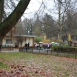 Sonntagsführung November 2015 - Tieraffen