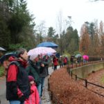 Sonntagsführung November 2015 - Tieraffen