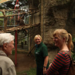 ehrenamtliche Besucherbetreuung in der Tropenhalle vom Darwineum