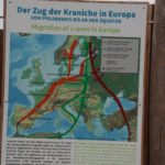 Kranichtour 2016