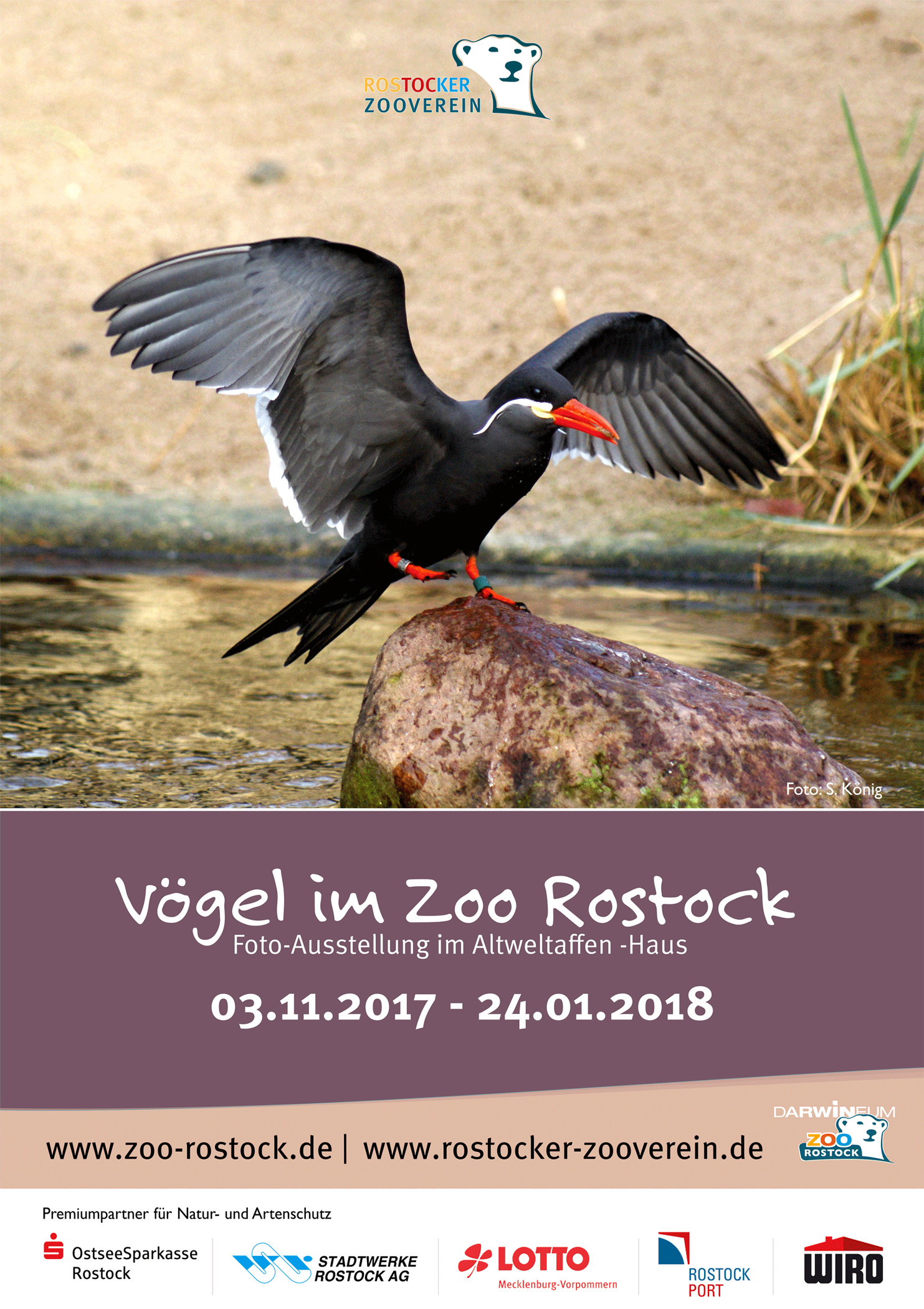 Plakat zur Ausstellung "Vögel im Zoo"