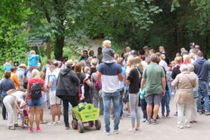 Sonntagsführung Juli 2018 - Jungtiere im Zoo