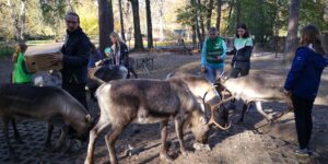 Zooentdecker Nach getaner Arbeit Rentierfütterung