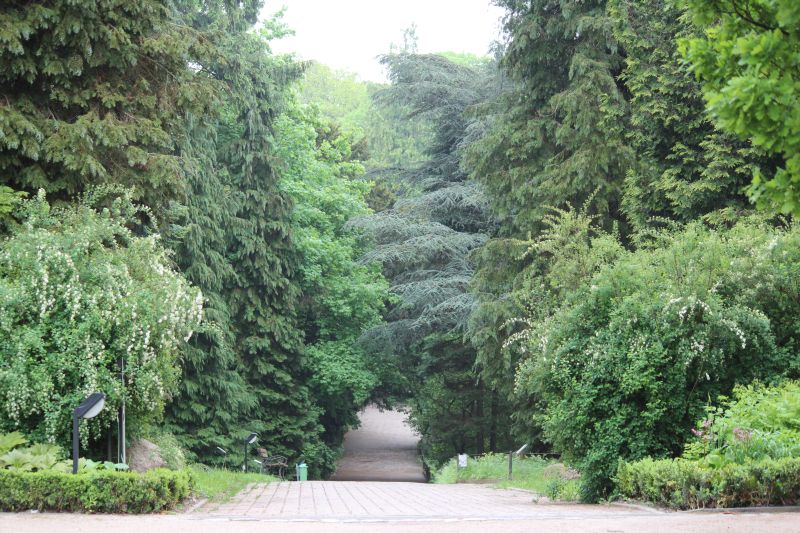 Botanische Führung - Sonntagsführung Mai 2013
