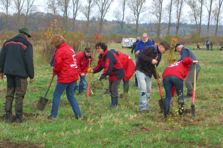 Baumpflanzaktion 2013