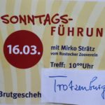 Sonntagsführung März 2014