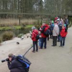 Sonntagsführung März 2014