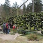 Sonntagsführung März 2014