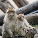 Zoo Aschersleben