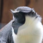 Zoo Aschersleben