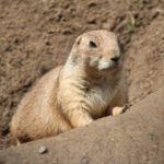 Zoo Magdeburg
