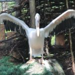 Zoo Magdeburg
