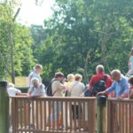 Sonntagsführung Juli 2014 - Tierkinder