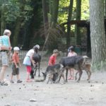 Sonntagsführung Juli 2014 - Tierkinder