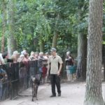 Sonntagsführung Juli 2014 - Tierkinder