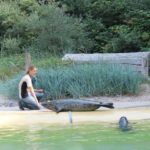 Sonntagsführung Juli 2014 - Tierkinder