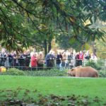 Sonntagsführung Oktober 2014