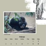 Innenseite vom Kalender des Rostocker Zoovereins 2014