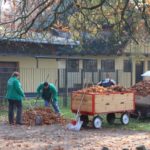 Arbeitseinsatz Laubharken 2015