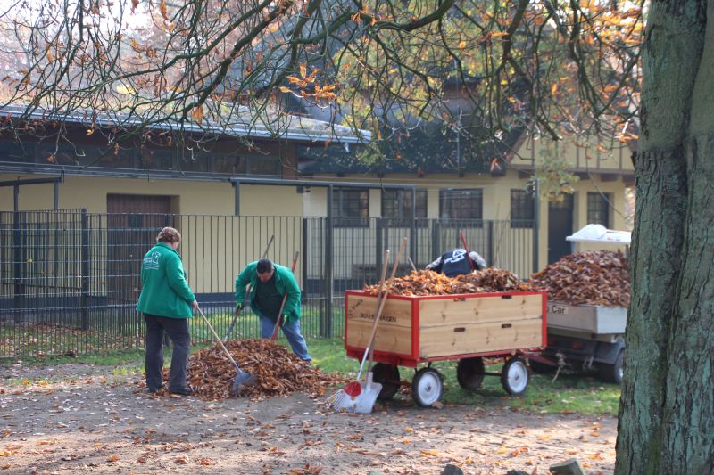 Arbeitseinsatz Laubharken 2015