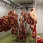 Sonntagsführung "Futtermeisterei"
