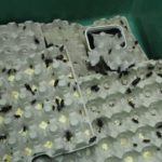 Sonntagsführung "Futtermeisterei"