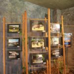 Fotoausstellung des Ausfluges nach Polen