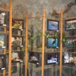 Fotoausstellung des Ausfluges nach Polen