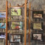 Fotoausstellung des Ausfluges nach Polen