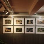 Ausstellung Jungtierfotos
