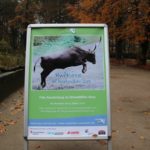 Huftiere im Zoo Rostock - Neue Ausstellung im Zoo