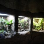 Umbau Terrarien Darwineum
