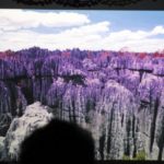 Vortrag: Schrecklich-schönes Madagaskar