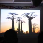 Vortrag: Schrecklich-schönes Madagaskar