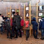 Rostocker Zooverein zeigt neue Ausstellung