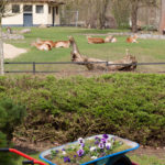 Frühlingsbeginn im Zoo