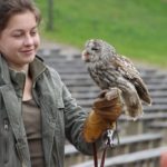 Falknershow im Amphitheater (Zoo Pilsen)