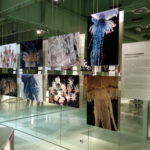 Fotoausstellung - Blaschka-Ausstellung im Darwineum