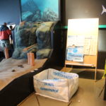 Stand Überfischung der Meere (Greenpeace Rostock) - Artenschutztag 2017