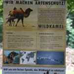 Schild Artenschutz Wildkamele (Rostocker Zooverein) - Artenschutztag 2017