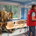 WWF Artenschutzkoffer (Zooschule Rostock) - Artenschutztag 2017