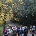 dendrologische Führung 2018