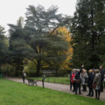 dendrologische Führung 2018