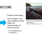 Verschmutzung der Meere - Vortrag Meeressäuger im Rostocker Zooverein