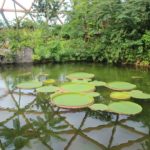 Amazonica Zoo Rotterdam