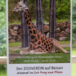 Ausstellung "Der Zooverein auf Reisen"