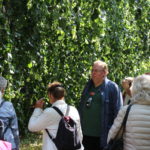 dendrologische Sonntagsführung