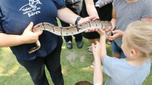 kleine Tierschau auf der Eichenallee - Zooverein