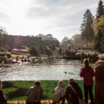 Pinguinanlage vom POLARIUM